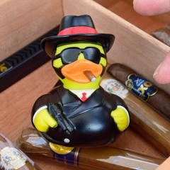Ducks At A Rave