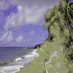 the pacific air