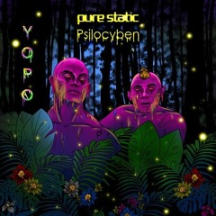 Yopo ft. Pure Static