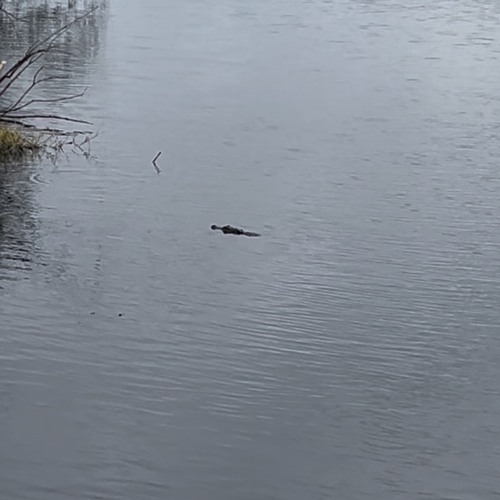 8count|ft.Lilthr3e(Prod.aloa)