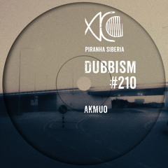 DUBBISM #210 - Akmuo