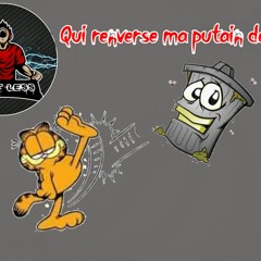 Qui renverse ma putain de poubelle ?