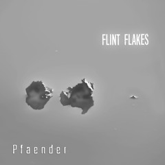 Flint Flakes