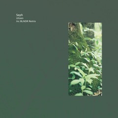 Seph - Ulizen EP (incl. BLNDR Remix) [DN007]