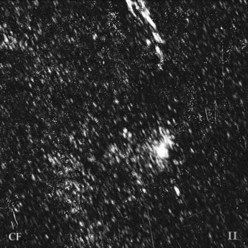 AYECHRIS & YOKAI AIMANA - SLOWER THAN DEATH