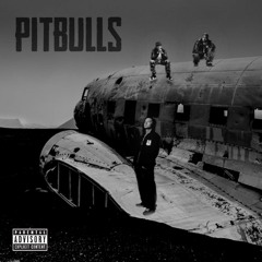 Eminem - Pitbulls (feat. Nas & 50 Cent)