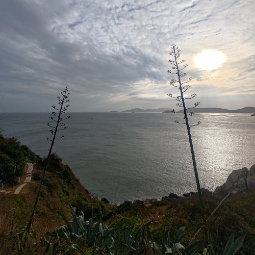 Deep Breakfast 337 ~ Vice City