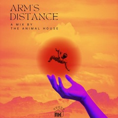 Arm's Distance - AH Mix