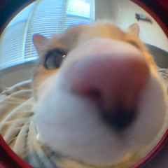 Space Jam (feat. Ib Mattic)