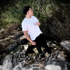 NEW LEVEL