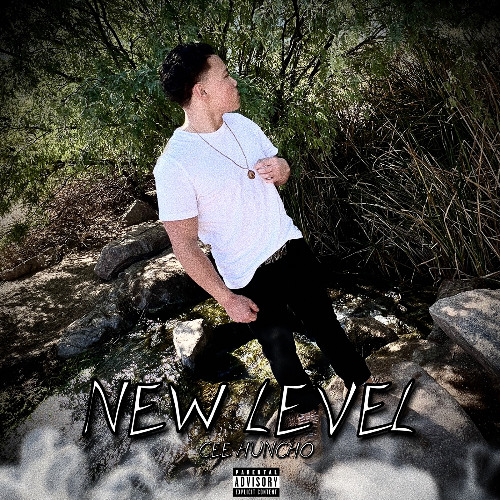 NEW LEVEL