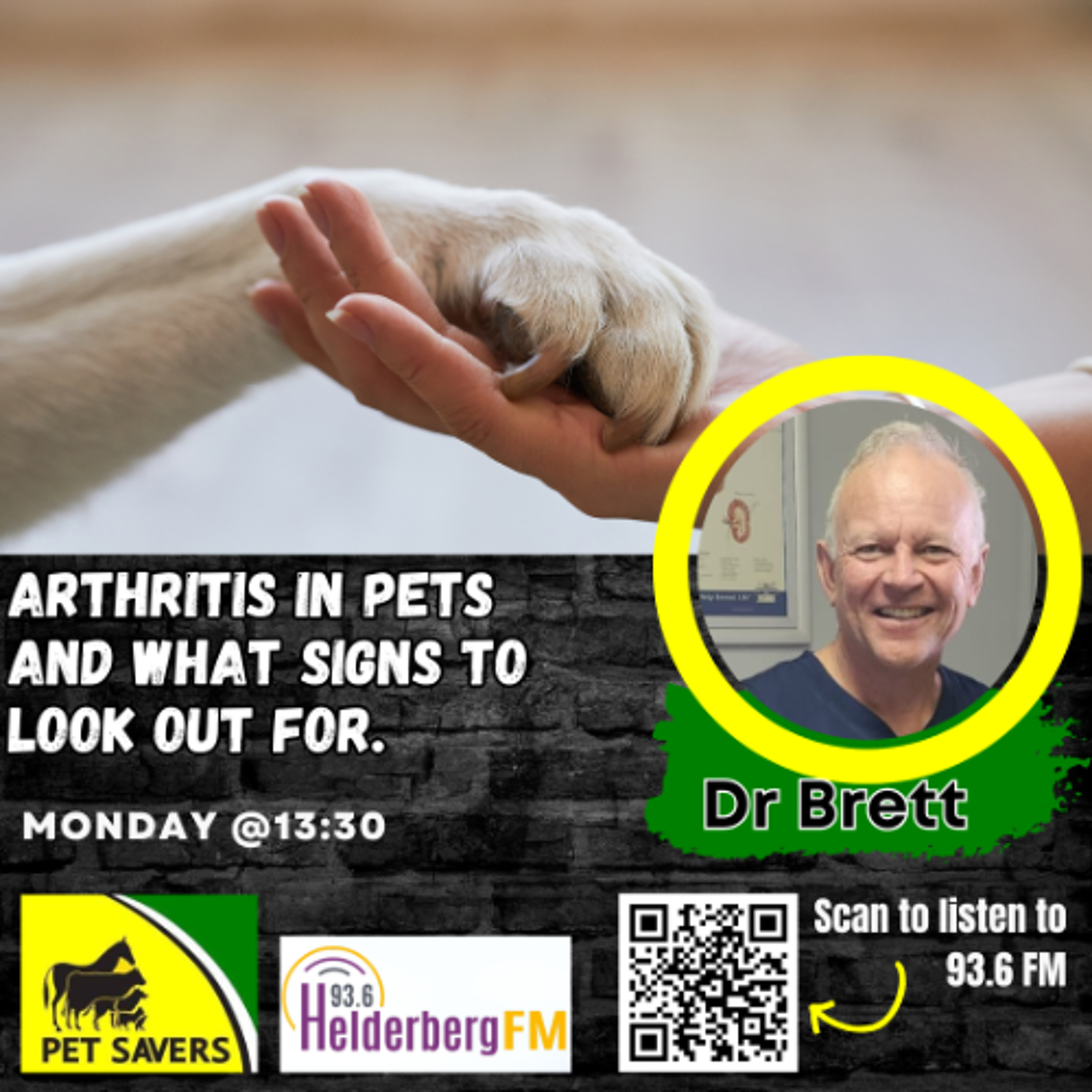 Pet Pals On #DailyDateWithChristie episode artwork