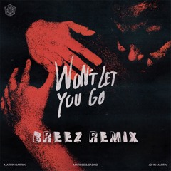 Won't Let You Go (Breez Remix)