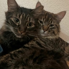 2020 (beat by poppa) lyrics by me