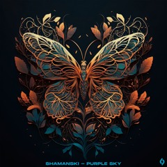 LTR Premiere: Shamanski - Purple Sky (Original Mix)[Journey Of The Soul]
