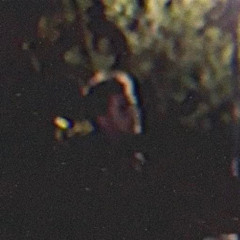 torture (demo) by fantom kiss