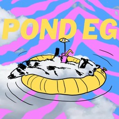 POND EG