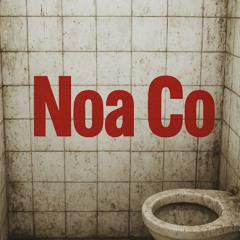 Noa Co (DEMO)
