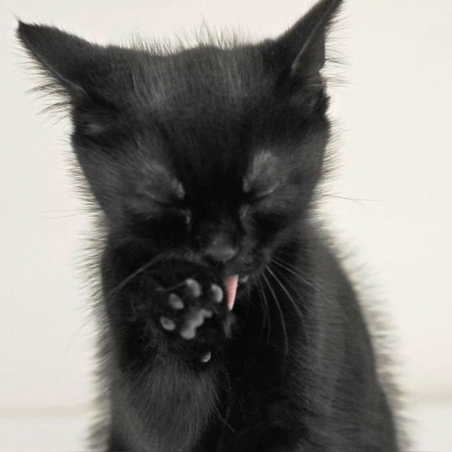 Driven Nygma Funk-Speed up