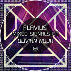 Flavius - Mlly (Olivian Nour Remix) Preview