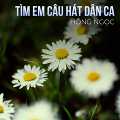 Tìm Em Câu Hát Dân Ca (Remix)