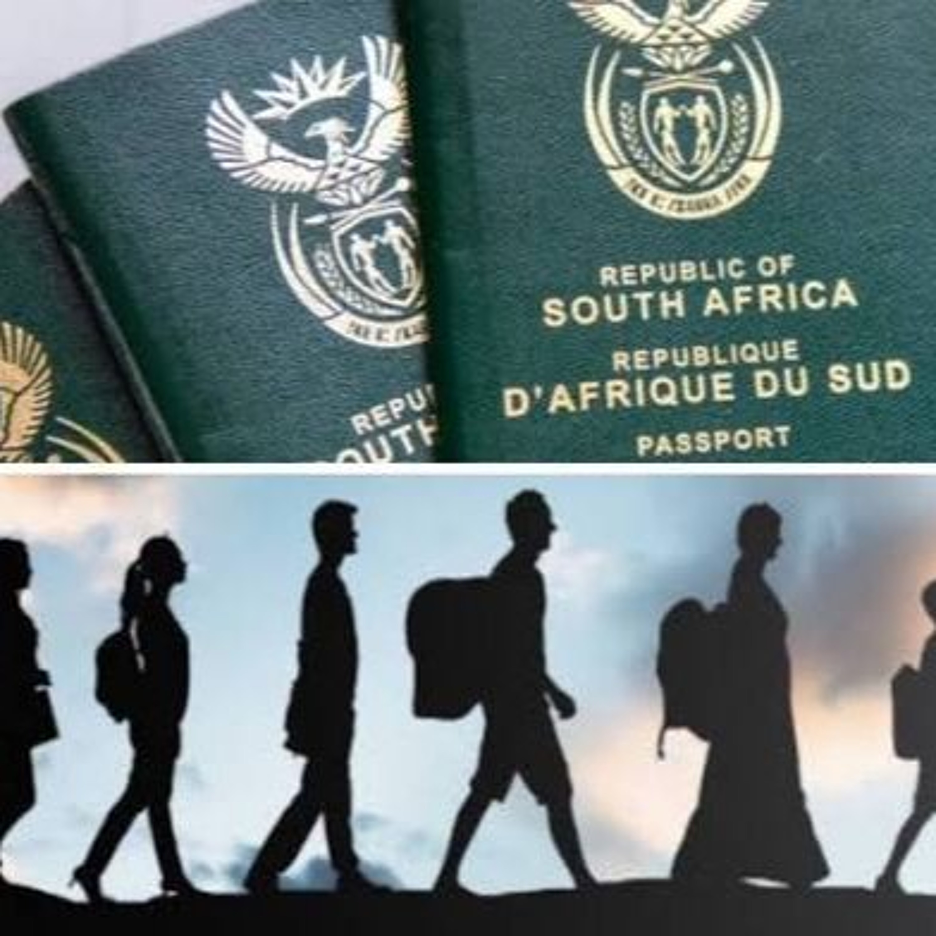 Fake Fact Check: Do 96% of South Africans Move Back Home Because They’re Homesick? episode artwork