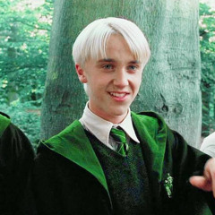 confident X draco malfoy (@urlocalpatrick on tiktok)