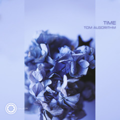 Tom Algorithm - Time (Windom R Remix) snippet