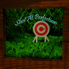 Shot At Perfection