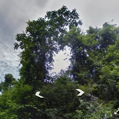 well 1.1 garden (day)