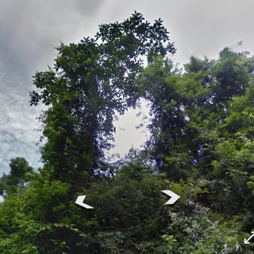 well 1.1 garden (day)