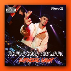 WHERE HAVE YOU BEEN x EUPHORIC NIGHT (RoyG Mashup)