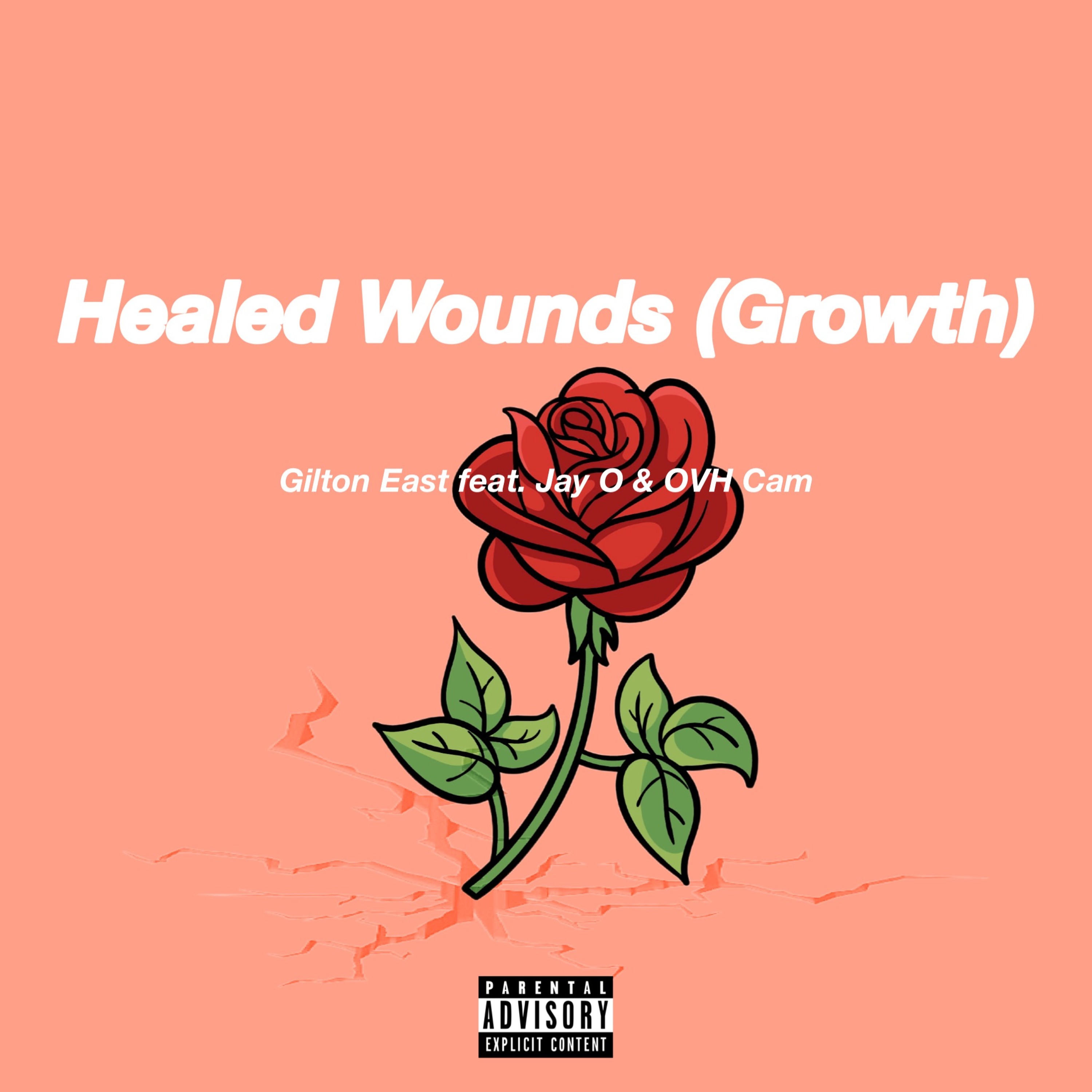 Healed Wounds (Growth)(feat. Jay O & OVH Cam) episode artwork