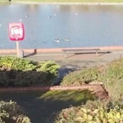 𝘰𝘬𝘭𝘰𝘶 - 𝘤𝘩𝘰𝘬𝘦 𝘦𝘯𝘰𝘶𝘨𝘩 (𝘭𝘰𝘯𝘦𝘺 𝘦𝘥𝘪𝘵)