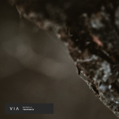 Section 63 - Primal Rhythm