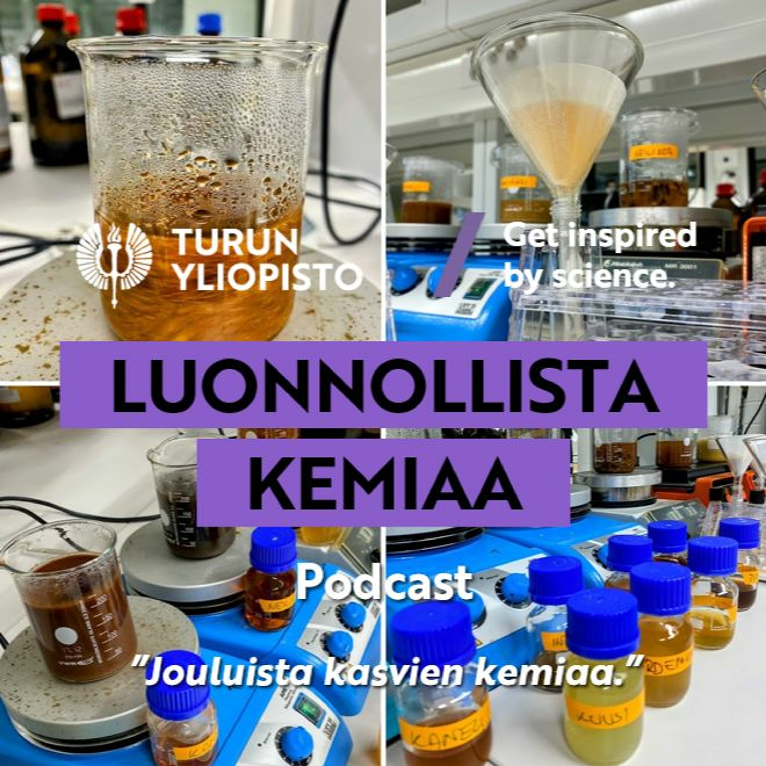 Luonnollista kemiaa: Jouluista kasvien kemiaa episode artwork