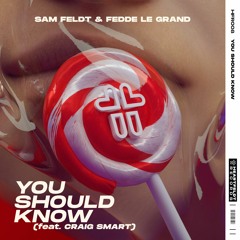 Sam Feldt & Fedde Le Grand - You Should Know (feat. Craig Smart)