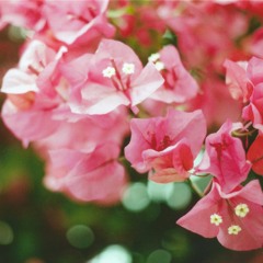 Aarigod X Hatsü - Dovetail