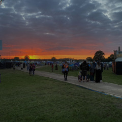 Jungle/garage MINIMIX