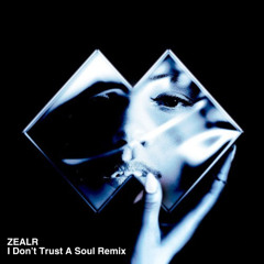 I Don't Trust a Soul - Disco Lines, Ship Wrek (ZEALR Remix) [Free Download]