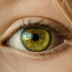 Look Myself In The Eye (I)