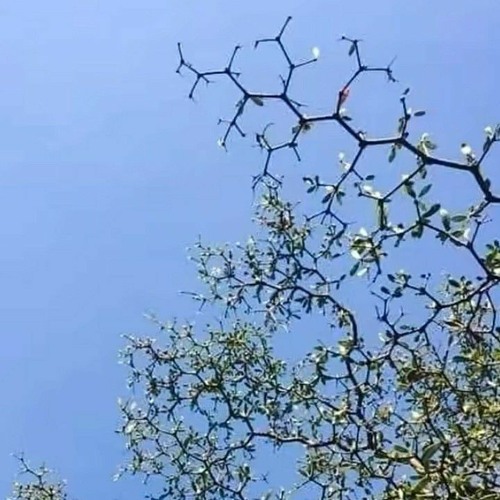 DozE x Droxxyy - cy@ on da OTHERCIDE (.prod @metlast)
