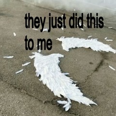 mothz drawn to a full moon