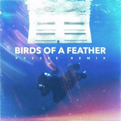 BILLIE EILISH - BIRDS OF A FEATHER (PYSCEE Remix)