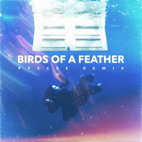 BILLIE EILISH - BIRDS OF A FEATHER (PYSCEE Remix)