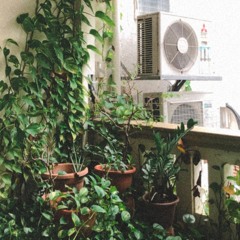 carried away (surf mesa, madison beer)