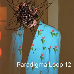 Paradigma Loop 12