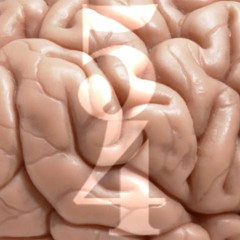 Bad Brain Luck