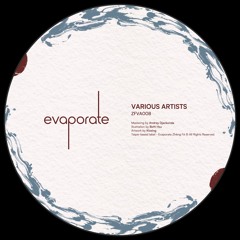 Evaporate Various Artists 008 [ZFVA008]