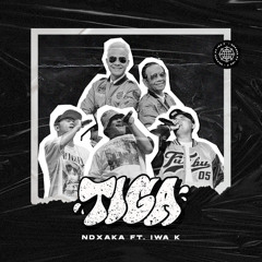 Tiga (feat. IWA K)
